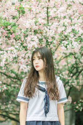 无代码在线观看完整版电视剧